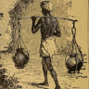 Meet your Posher, William